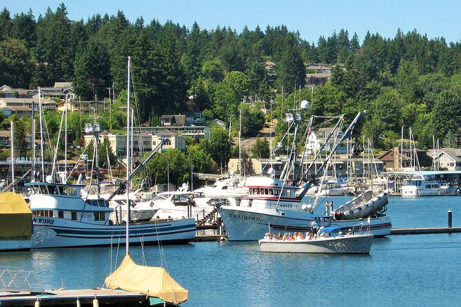 2 Hour Guided Boat Tour in Gig Harbor and Narrows Bridges - Wildlife watching with a real checklist of what to look for