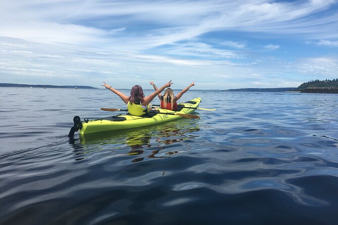 2 Hour Sound Tour - Shilshole Marina in Ballard: the launch that makes Puget Sound feel close