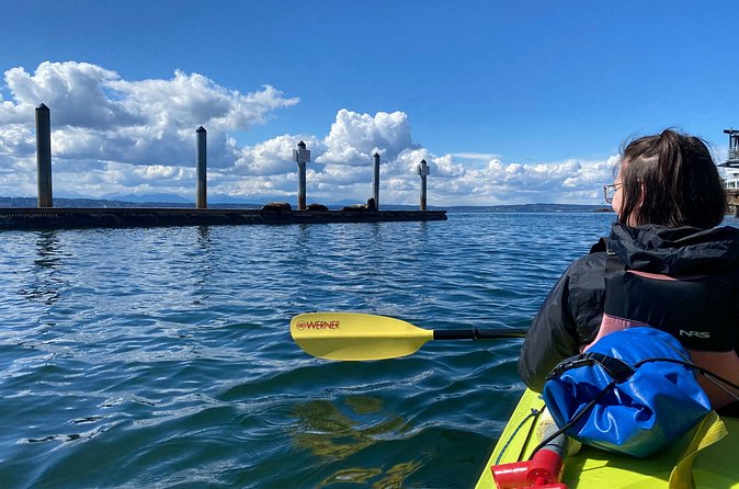 2 Hour Sound Tour - Wildlife odds: seals, sea lions, herons, and birds up close