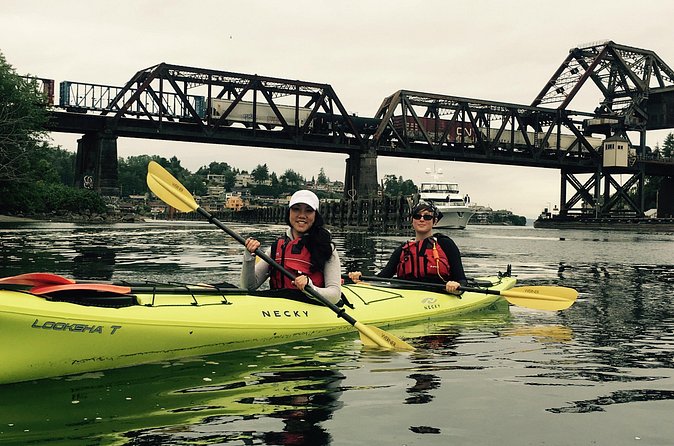 2 Hour Sound Tour - Bull kelp drifting vs shoreline paddling: how the guide chooses the best moment