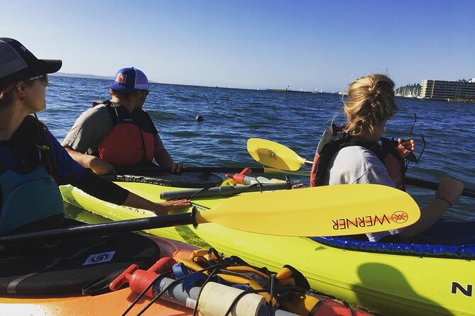 2 Hour Sound Tour - Your 2 hours on the water: a guided paddle with a flexible route
