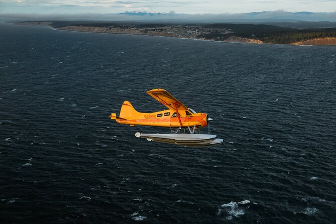 3 Hours San Juan Island Seaplane Tour from Seattle - A Seaplane Route That Feels Like Seattle-to-Island Reality