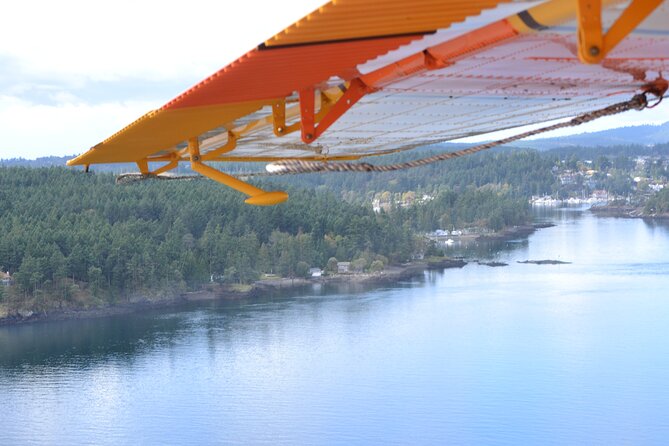 3 Hours San Juan Island Seaplane Tour from Seattle - Wildlife Odds: Orca Is Possible, Not Guaranteed