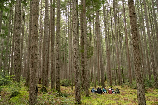 Bainbridge Island Serenity Forest Hike & Cultural Landmarks Tour - Key Highlights You’ll Actually Feel