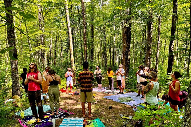 Bainbridge Island Serenity Forest Hike & Cultural Landmarks Tour - Bainbridge Island Museum of Art: Culture on Your Terms