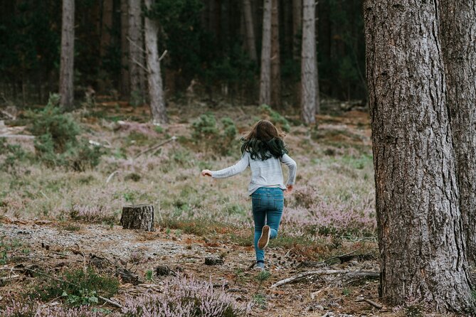 Bainbridge Island Serenity Forest Hike & Cultural Landmarks Tour - Price and Logistics: Why $235 Can Make Sense