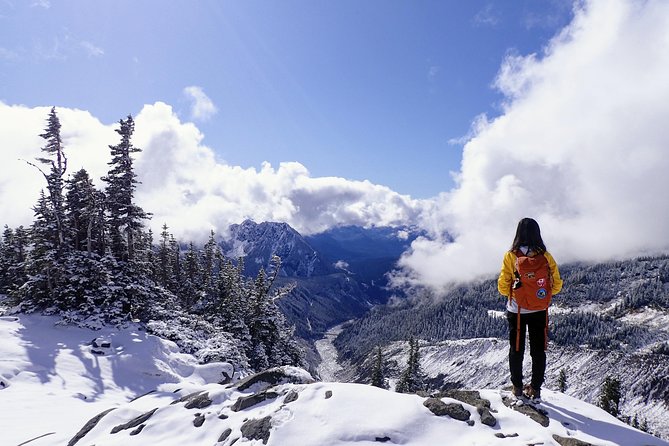 Best of Mount Rainier National Park from Seattle: All-Inclusive Small-Group Tour - Nisqually Vista Trail to Longmire: Old-Growth Forest With Big-Mountain Context