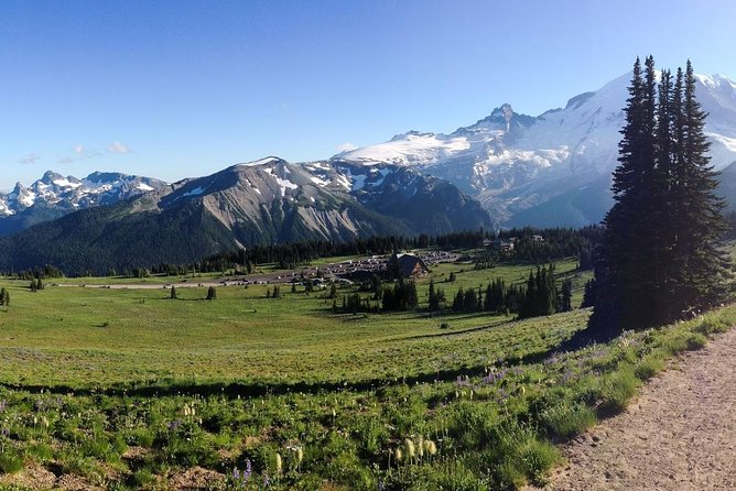 Best of Mount Rainier National Park from Seattle: All-Inclusive Small-Group Tour - Paradise Valley: Wild Berries in Summer or Intro Snowshoe in Winter