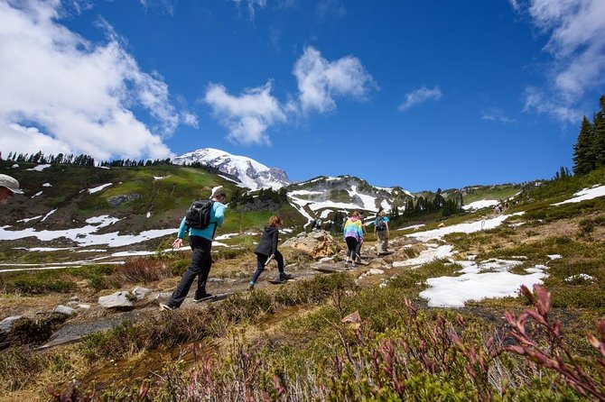 Best of Mount Rainier National Park from Seattle: All-Inclusive Small-Group Tour - The Quiet Beauty Stops: Reflection Lakes, Trail of the Shadows, Twin Firs