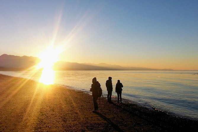 Best of Olympic National Park from Seattle: All-Inclusive Small-Group Day Tour - Morning Ferry Start: A Seattle-to-Olympic Day That Begins with Views