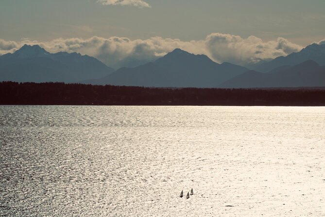 Bite-Sized Seattle History & Food by Go West Tours - Seattle Waterfront: Puget Sound Views Plus Indigenous Context