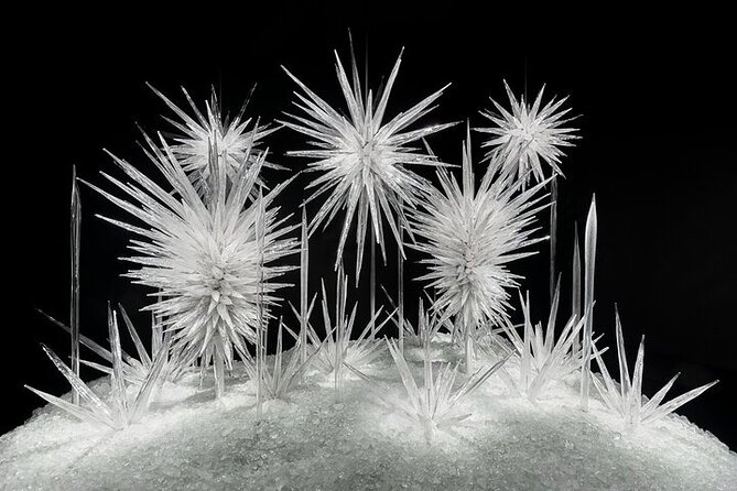 Chihuly Garden and Glass in Seattle Ticket - Inside the glasshouse galleries: where the art turns architectural