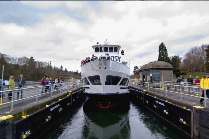 City Sightseeing Seattle HOHO Bus and Locks or Harbour Cruise - Audio + Arnocular XR: how to get more value from every stop