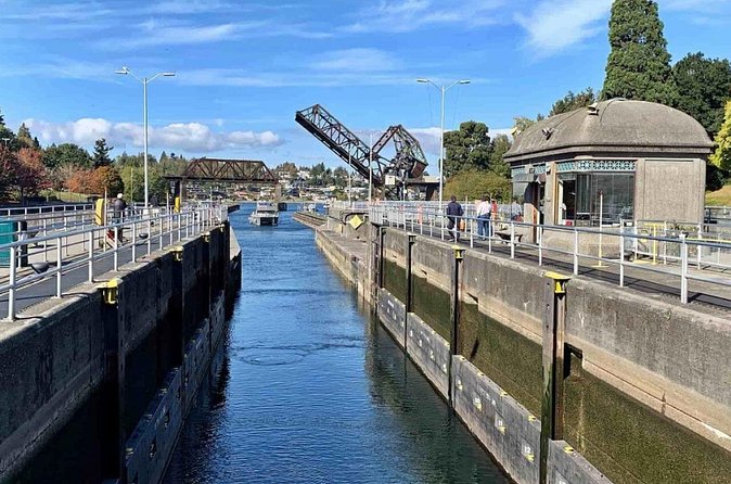 City Sightseeing Seattle HOHO Bus and Locks or Harbour Cruise - Practical timing: when the bus runs and how to plan your day