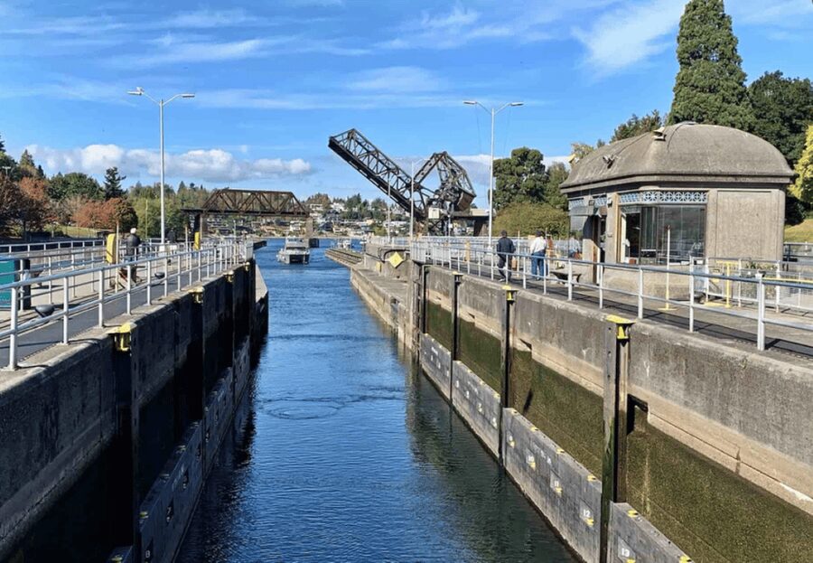 City Sightseeing Seattle: HOHO Bus Tour + Locks Cruise - The Waterfront Mood: Pier 55, Pier 66, Argosy Cruises, and Pike Brewing