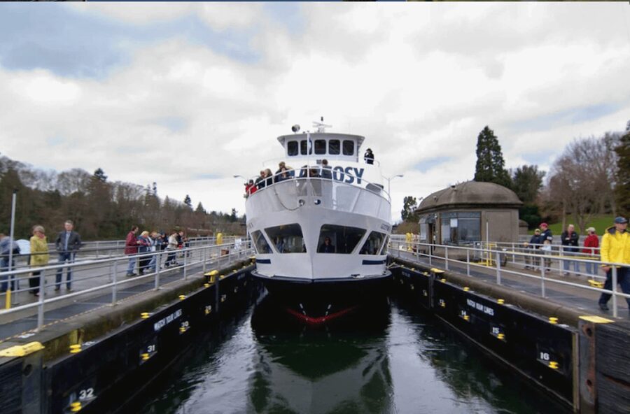 City Sightseeing Seattle: HOHO Bus Tour + Locks Cruise - Chinatown Gate and Pioneer Square: Old Seattle With a Guided Walk
