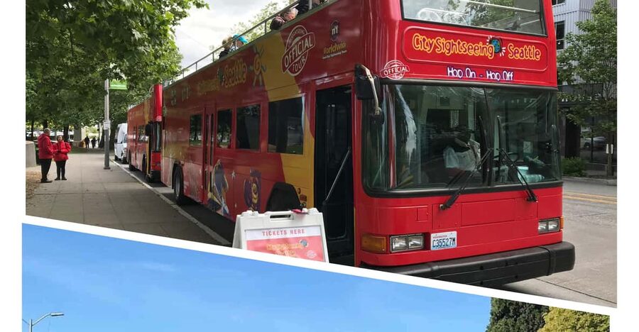 City Sightseeing Seattle: HOHO Bus Tour + Locks Cruise - Seattle Sky View Observatory: Pay-Off Views Without Much Planning