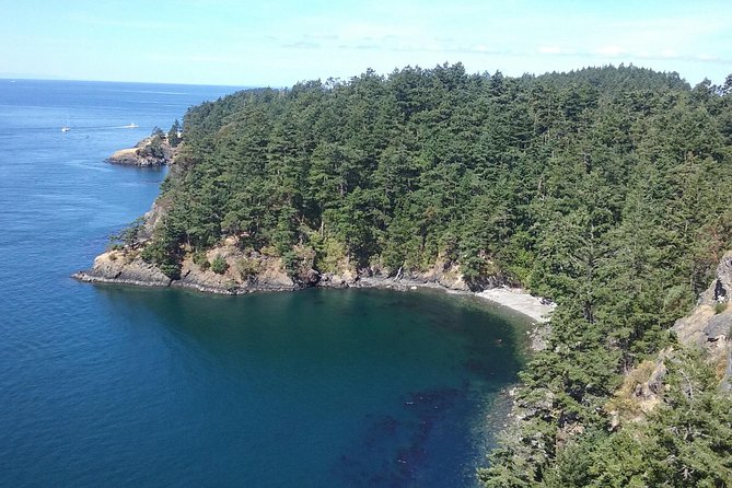 Deception Pass Bridge Island Tour from Seattle - The rhythm of a private tour with Cheryl’s Northwest Tours