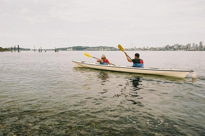 Elliott Bay Sea Kayak Tour - The Elliott Bay Waterfront route: skyline views, Puget Sound, and Duwamish energy