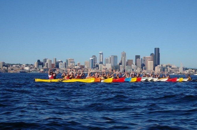 Elliott Bay Sea Kayak Tour - Wildlife + local nature facts: why the guide component matters