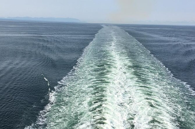 Explore Olympic National Park from Seattle through Van /Ferry - Lake Crescent viewpoints: short stops that still land well