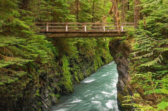 Explore Olympic National Park from Seattle through Van /Ferry - Guides and group size: small groups, big differences in delivery