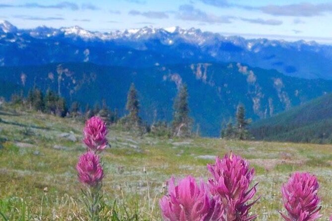 Explore Olympic National Park from Seattle through Van /Ferry - Marymere Falls and Lake Crescent: the hike that turns the day into a real nature moment