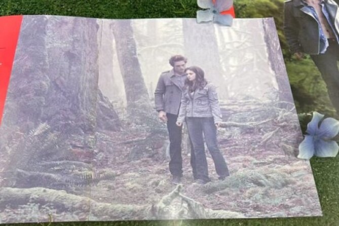 Forks Town, Twilight Movie, Olympic Small Group 1 Day Tour - Price and value: what $255 buys you in time, access, and convenience