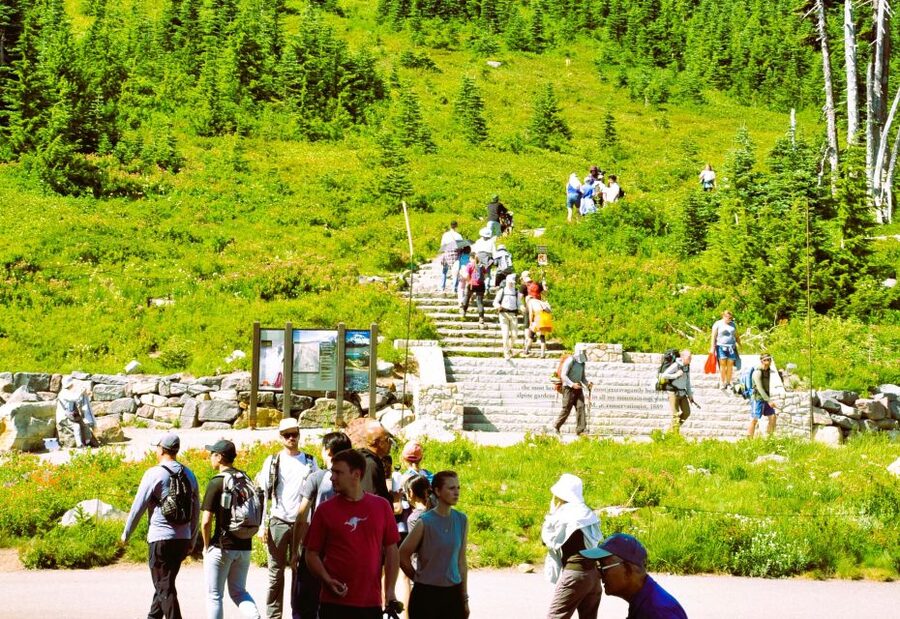 From Seattle: Customized Mount Rainier Tour - Key things worth knowing before you go