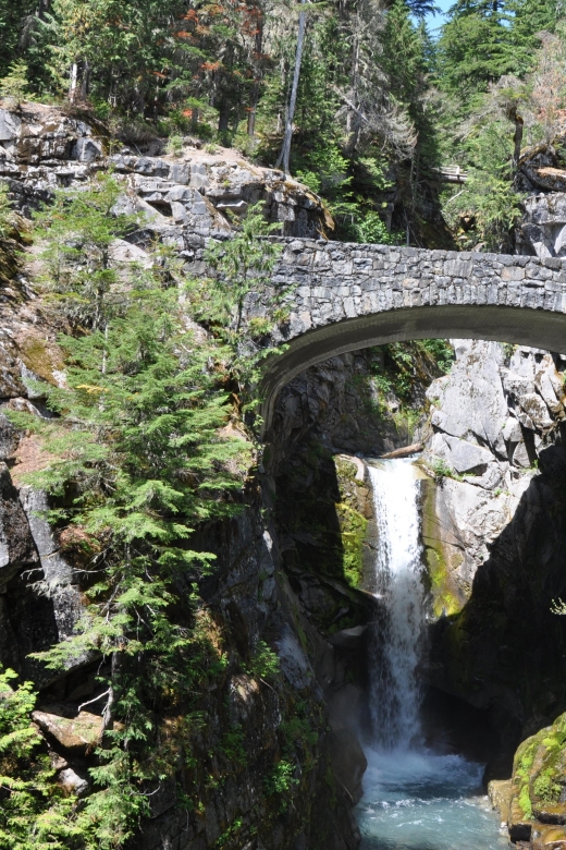 From Seattle: Customized Mount Rainier Tour - Entering the Rainier World: Ashford and the Park Transition