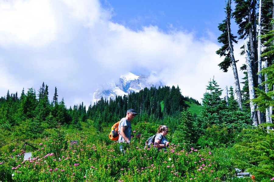 From Seattle: Customized Mount Rainier Tour - The Nisqually River Stops and the Waterfall Chain