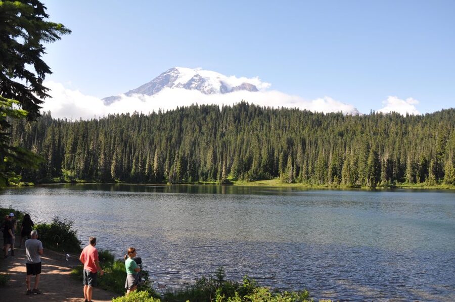 From Seattle: Customized Mount Rainier Tour - Myrtle Falls, Reflection Lake, and Longmire: More Time, Less Pressure