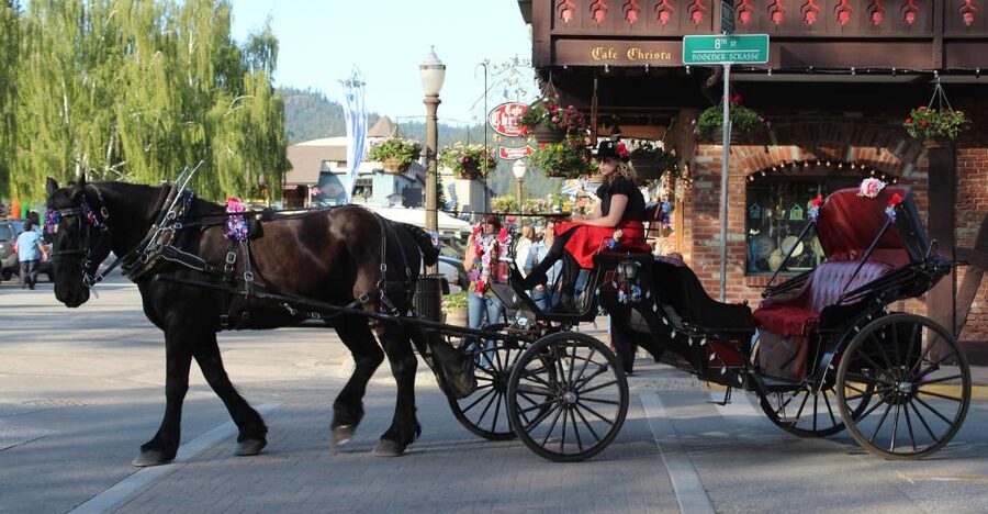From Seattle: Day Trip Through The Cascades to Leavenworth - Seattle to Snoqualmie Pass: why the drive is part of the treat