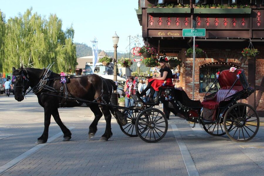 From Seattle: Day Trip Through The Cascades to Leavenworth - How the guide picks your trail (and why that’s worth paying for)