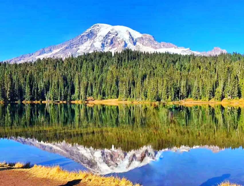 From Seattle: Mount Rainier Guided Day Tour - Summer route (May–October): Longmire Museum, waterfall hits, Paradise, and Reflection Lakes