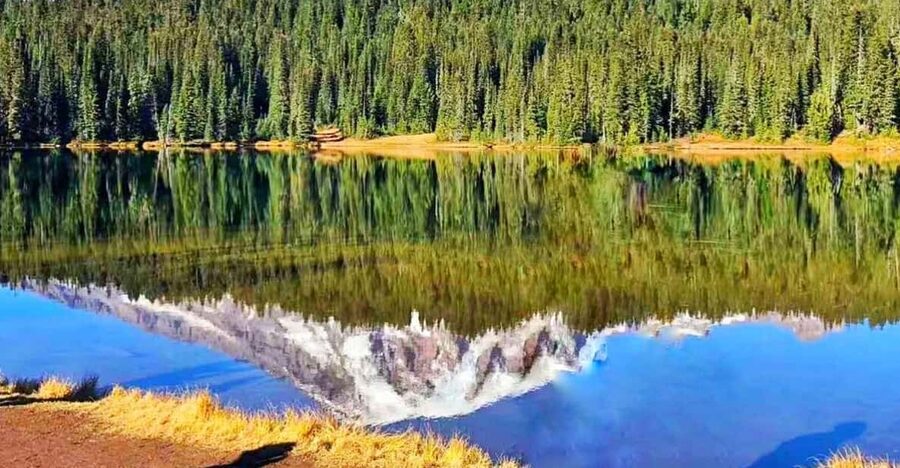 From Seattle: Mount Rainier Guided Day Tour - Food and timing: what’s included, what you should plan for