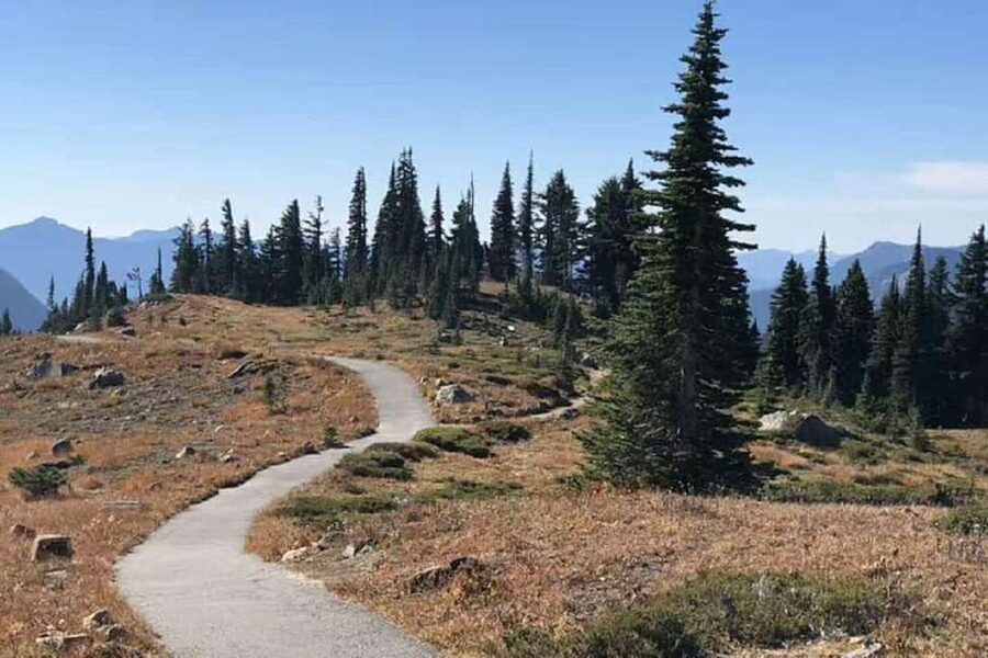 From Seattle: Mount Rainier Guided Day Tour - How the itinerary really feels: breaks, photo stops, and the pace question