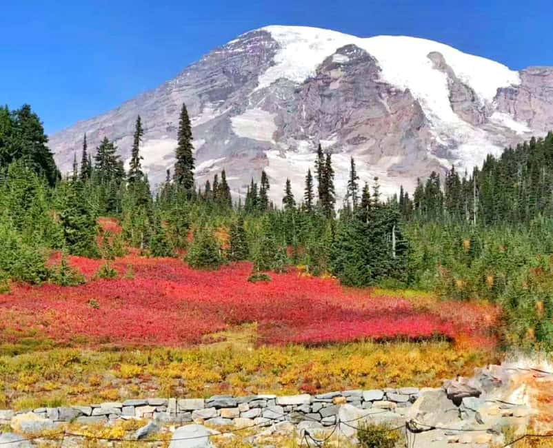 From Seattle: Mount Rainier Guided Day Tour - Rainier 101: what you’re really seeing in a single day