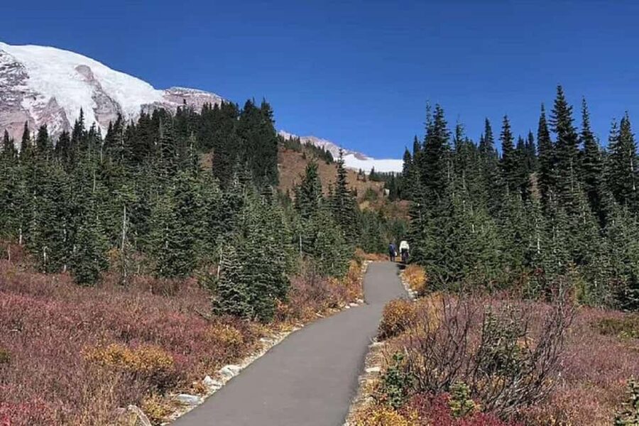 From Seattle: Mount Rainier National Park 1-Day Tour - Paradise Visitor Center and Reflection Lake: viewpoint time with weather reality