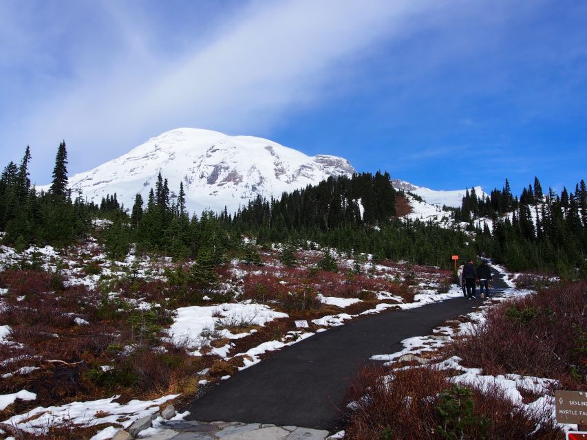 From Seattle: Mount Rainier National Park Guided Tour - A Seattle Day Trip That Actually Gets You to Rainier’s Best Parts