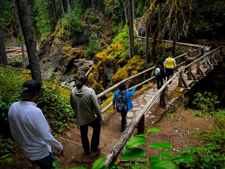 From Seattle: Mount Rainier National Park Guided Tour - Riding the 22-Passenger Minibus: Comfort, Views, and Less Hassle