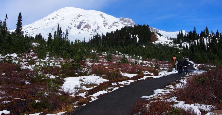 From Seattle: Mount Rainier National Park Guided Tour - Visitor Center Time: The Best Use of Your Learning Energy