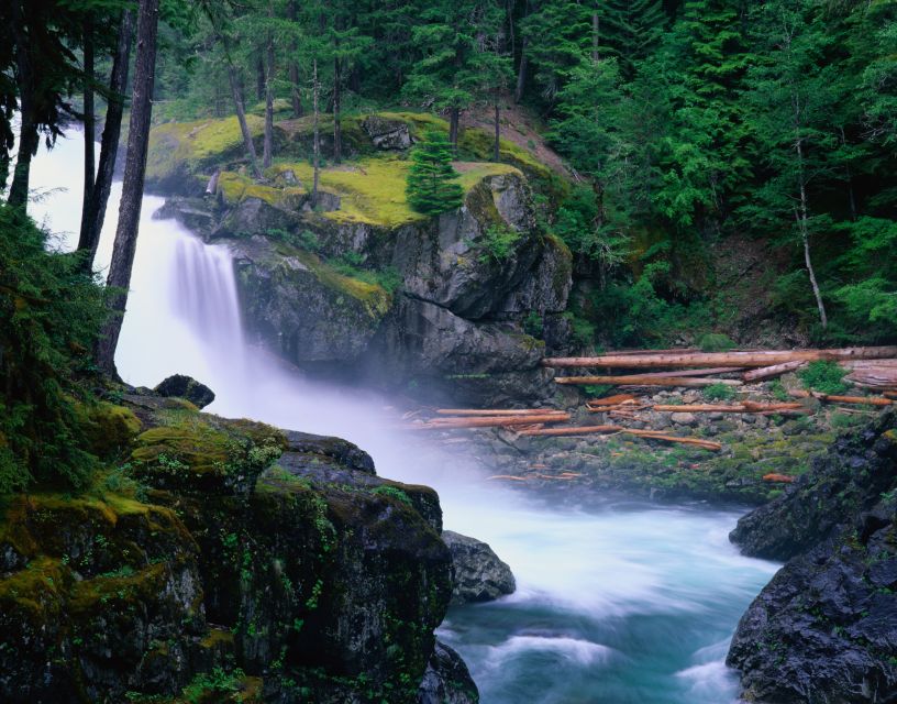 From Seattle: Mount Rainier National Park Guided Tour - Winter vs Summer: What Changes and Why It Still Feels Like Rainier