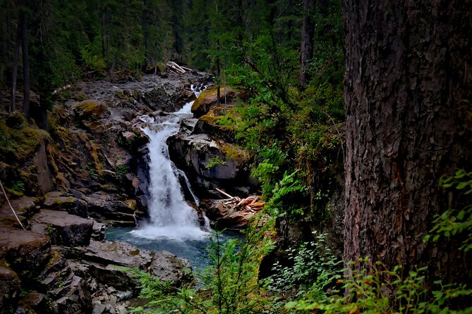 From Seattle: Private Tour to Mt. Rainier - 7:00 am Seattle Start: The Logistics That Make This Work