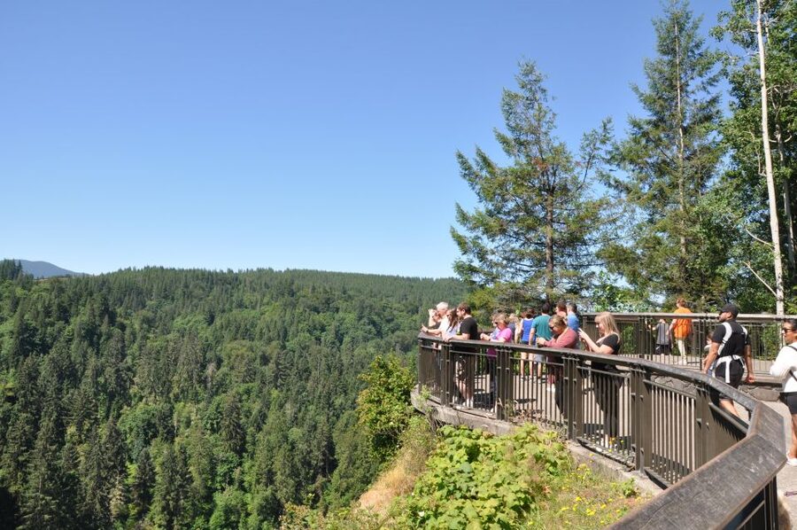 From Seattle: Snoqualmie Falls and Wineries Tour w/ Transfer - Who This Tour Suits Best