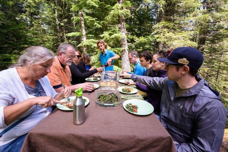 From Seattle: Snoqualmie Falls & Woodinville Wine Tasting - From Farmland to Wine Country: How Woodinville’s Farming Past Shapes the Day