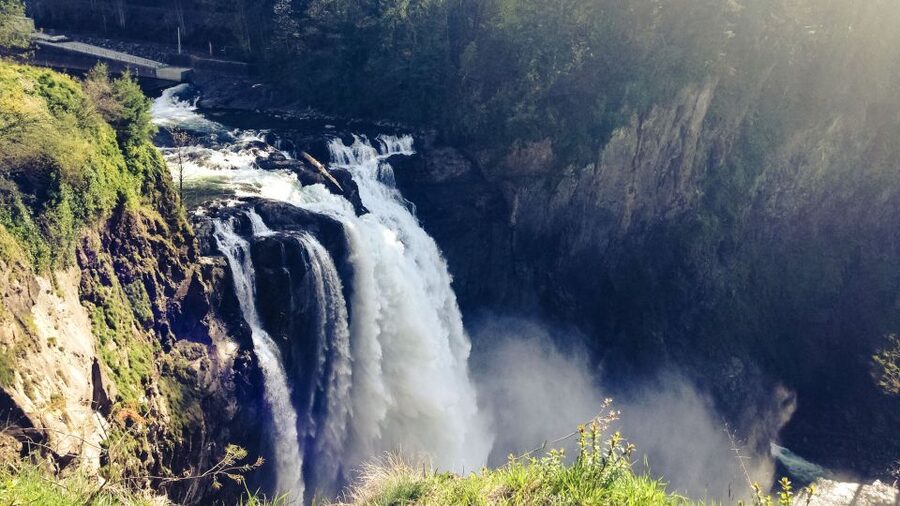 From Seattle: Snoqualmie Falls & Woodinville Wine Tasting - Who Should Book This Tour (and Who Might Want Another Option)
