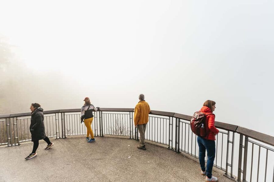 From Seattle: Visit Snoqualmie Falls and Hike to Twin Falls - Temperate rainforest details: how the guide turns scenery into understanding