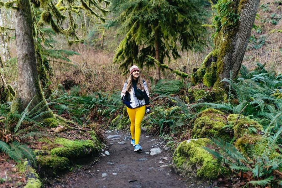 From Seattle: Visit Snoqualmie Falls and Hike to Twin Falls - Snoqualmie Falls from two vantage points: what you’ll actually notice