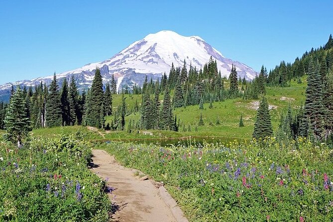 Full-Day Mt Rainier National Park Private Tour in SUV - Mt. Rainier in one day: what the SUV pickup really buys you